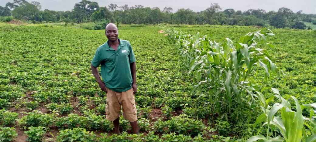 Seed quality testing laboratory